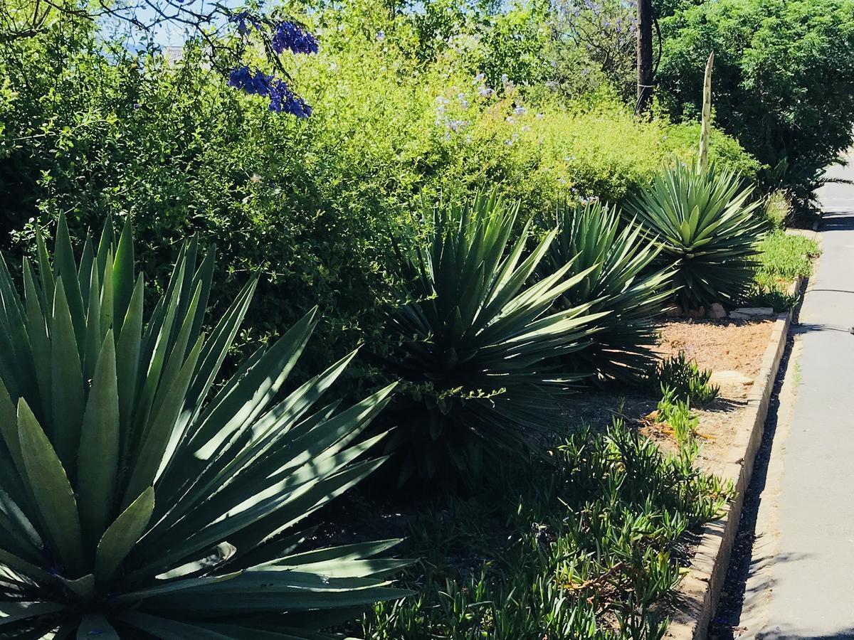 Ruby Rose Hotel Riebeek-West Luaran gambar